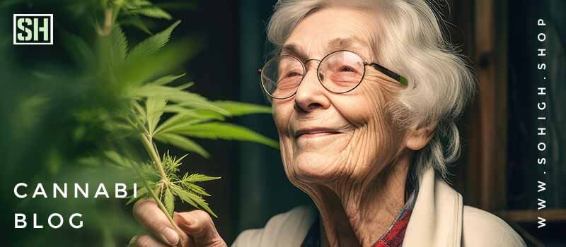 El Cannabis Medicinal Descubriendo sus Beneficios Terapéuticos CannabiBlog