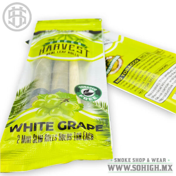 SoHigh Smoke Shop & Wear Monterrey México Blunt de Palma Green Harvest Sabor White Grape